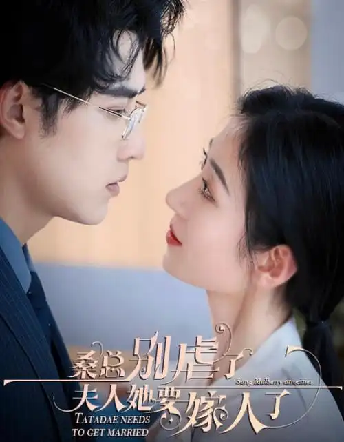 无声证词 刑侦剧免费观看